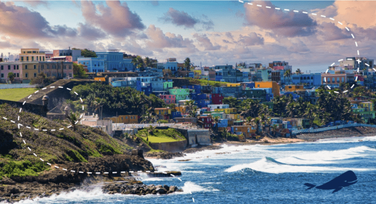 Fly the Whale Adds Daily St. Croix–San Juan Flights Beginning Sept. 15